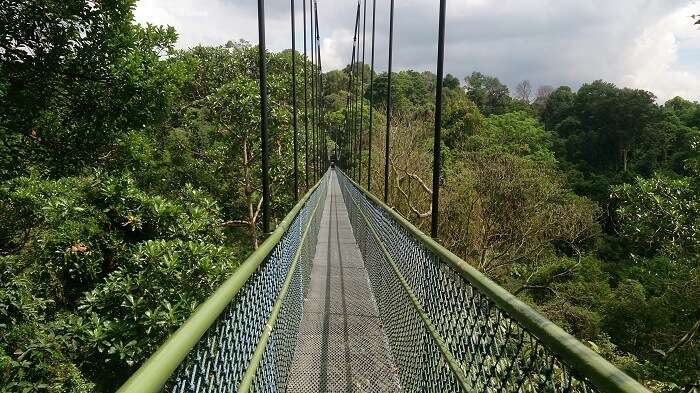 Amazing walking trail