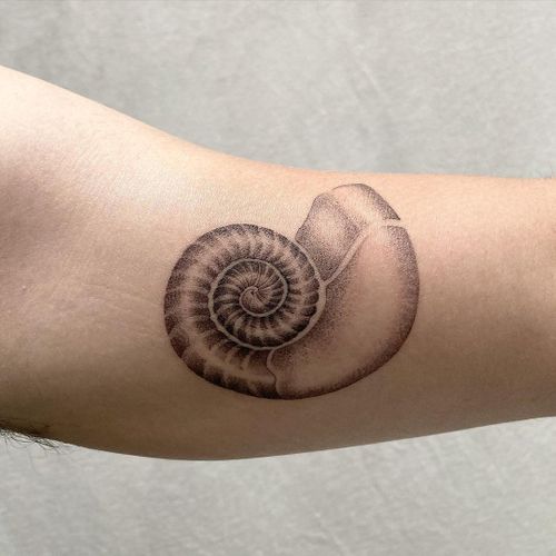 Seashell Tattoo