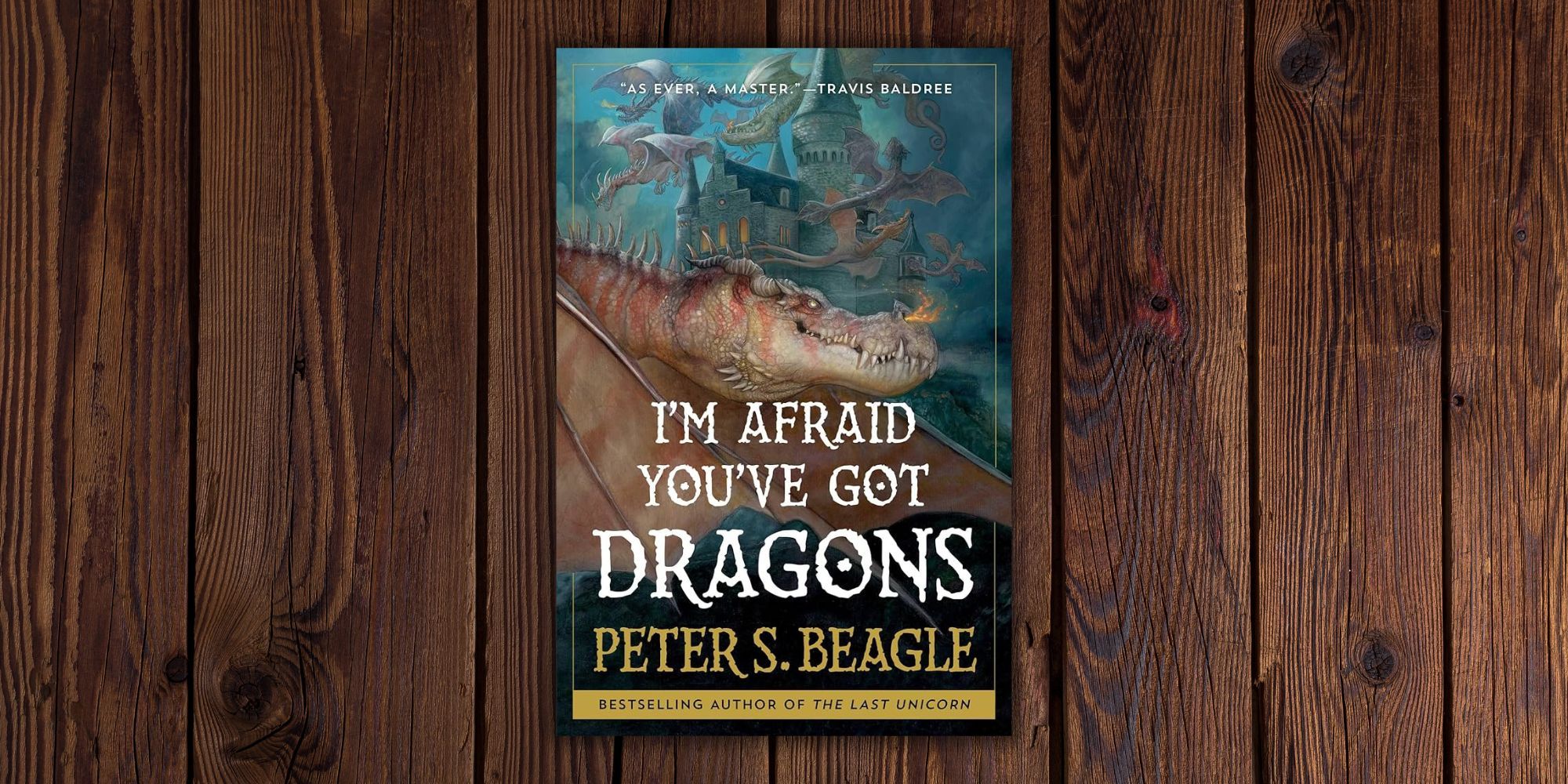 I'm Afraid You've Got Dragons book cover