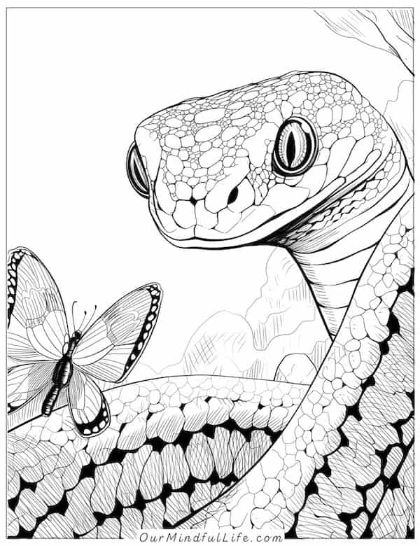 Butterfly and snake coloring page