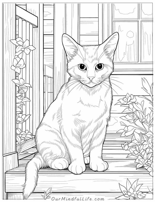 Cat on the front porch coloring page