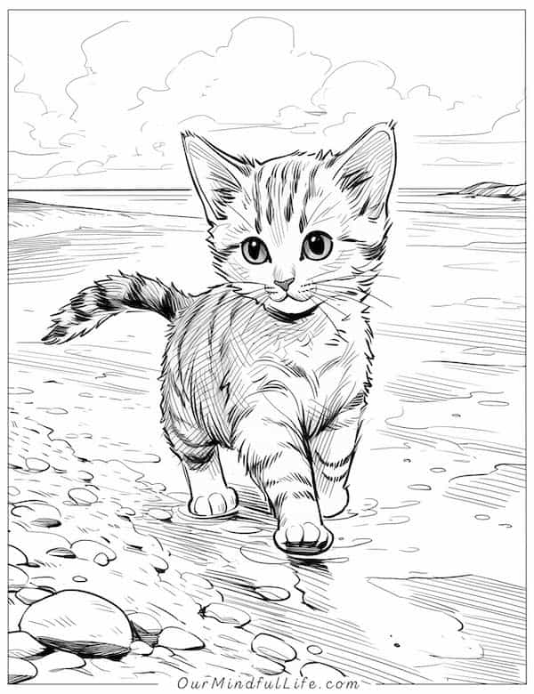 Cute cat on the beach coloring page