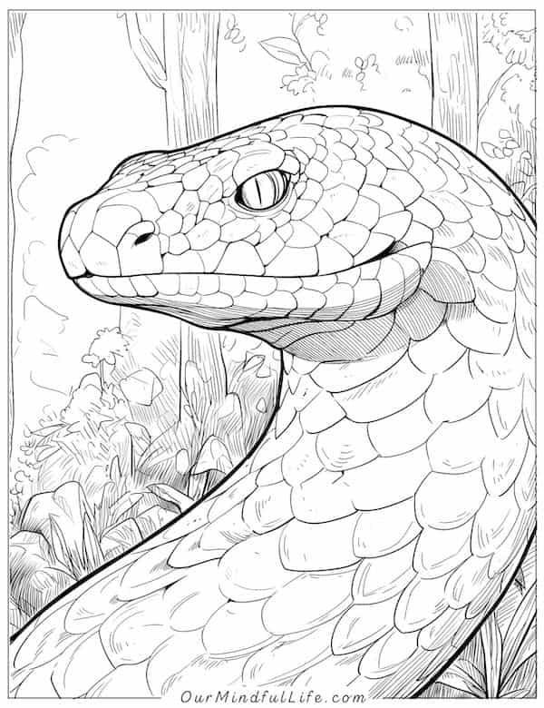 Intricate snake coloring page