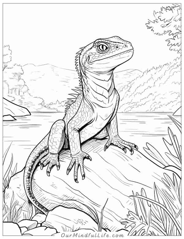 Lizard by the lake coloring page