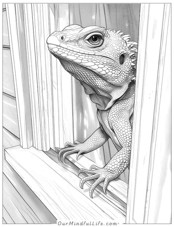 Lizard looking out of the window coloring page