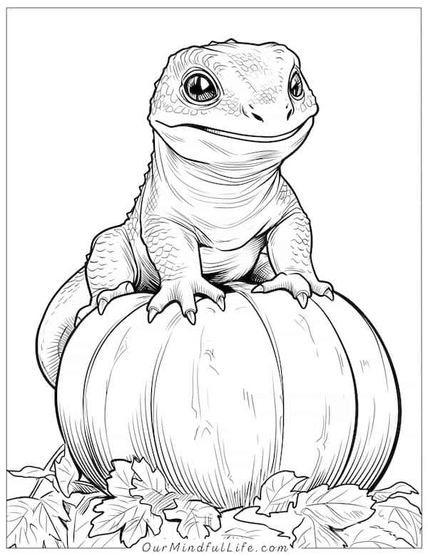 Lizard on a pumpkin coloring page