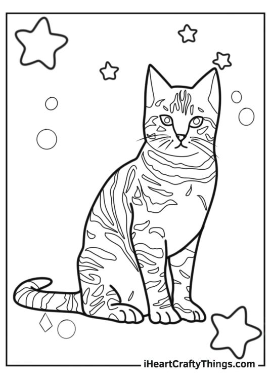 Pretty Striped Cat Sitting Coloring Sheet