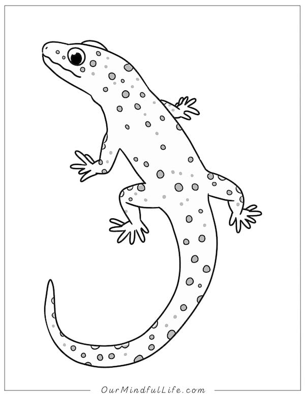 Simple gecko coloring page