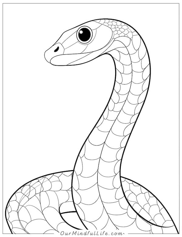 Simple snake coloring page for kids