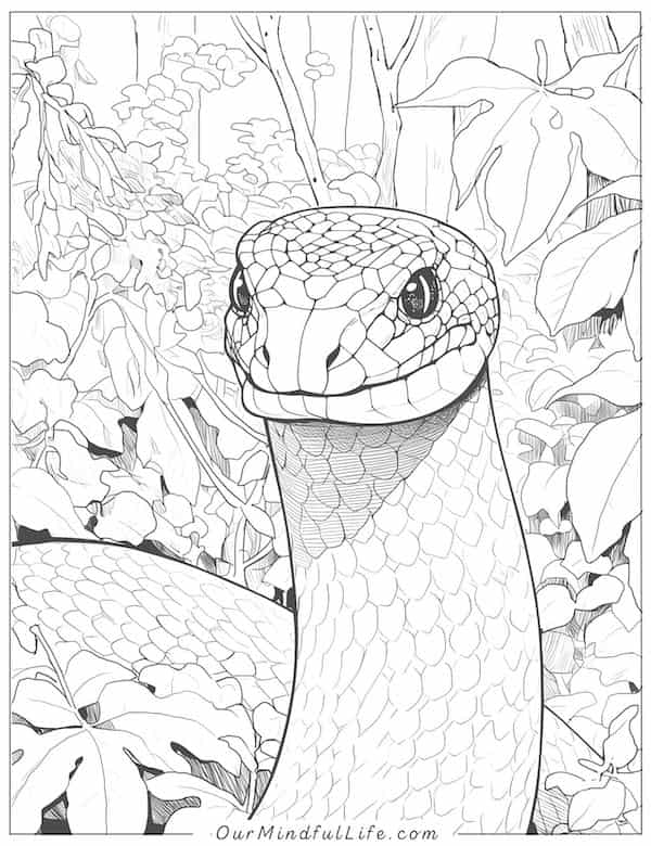 Snake in the woods coloring page