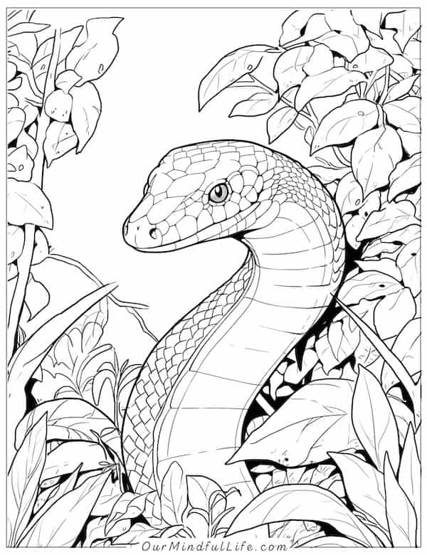 Snake in the woods coloring page