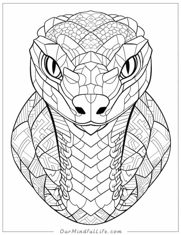 Snake mandala coloring page