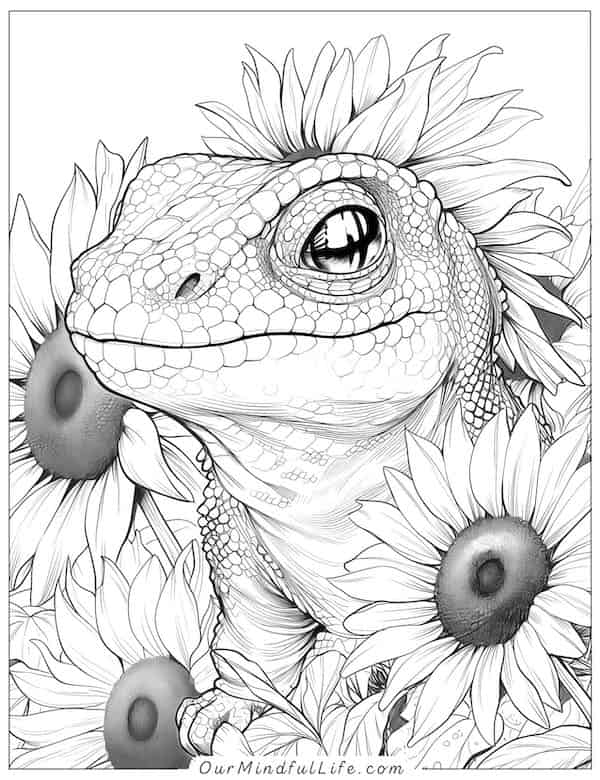 Sunflowers and lizard coloring page