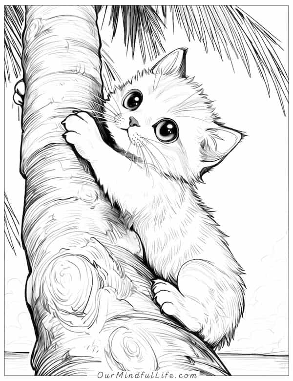 Super cute cat climbing a palm tree coloring page