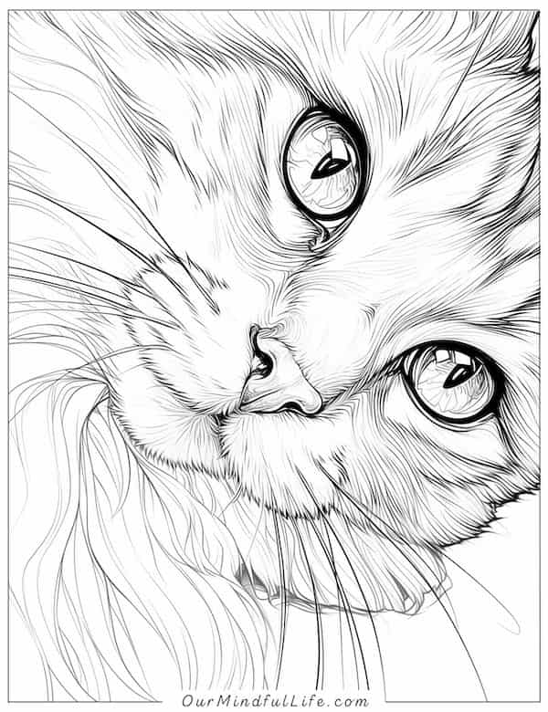 Super cute cat closeup coloring page