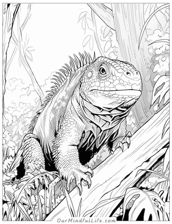 iguana in the jungle coloring page