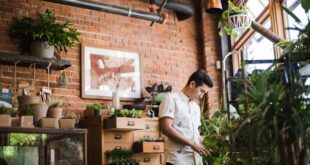 indoor gardening tips