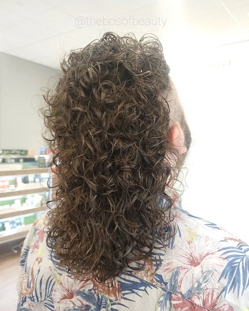 Back view of a man with a long curly mullet, featuring voluminous and tightly coiled curls flowing down