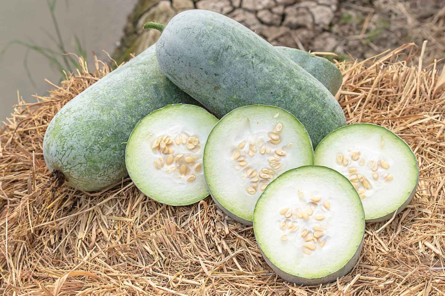 ash gourd juice