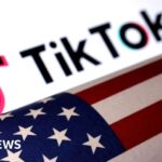 TikTok is expected to be banned in the US